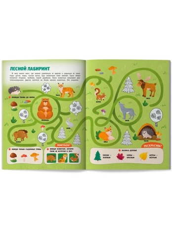 Животные России: книжка с наклейками., производитель «Феникс-Премьер», ISBN 978-5-22244-248-7№ 2