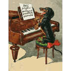 Картина по номерам с цветной схемой на холсте (30х40) Собачий вальс (20 цветов), арт. KK0644, производитель СильверТойз, ISBN 692-0-14088-418-3, № 2