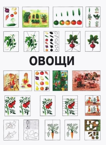 Развитие мыслительной деятельности у детей дошкольного возраста с ОВЗ (4-7 лет). Рабочая тетрадь № 1. Лексическая тема «Овощи», производитель Владос, ISBN 978-5-90748-248-7№ 3
