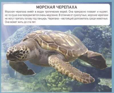 Разумные карточки. Подводный мир., производитель Проф-Пресс , ISBN 978-5-37829-132-8№ 4