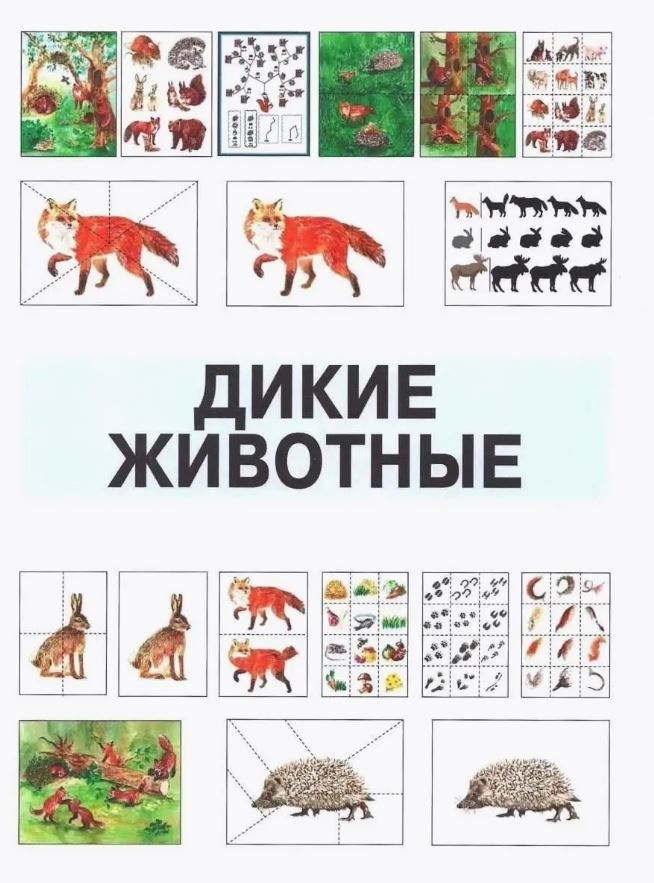 Развитие мыслительной деятельности у детей дошкольного возраста с ОВЗ (4-7 лет). Рабочая тетрадь № 4. Лексическая тема «Дикие животные», производитель Владос, ISBN 978-5-90748-251-7, № 4
