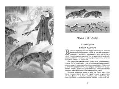 Белый Клык. Лондон Д., производитель Махаон , ISBN 978-5-38917-002-5№ 4