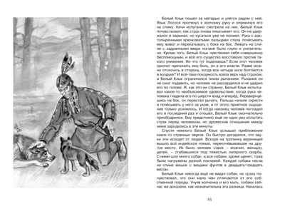 Белый Клык. Лондон Д., производитель Махаон , ISBN 978-5-38917-002-5№ 6