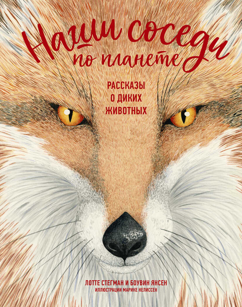 Наши соседи по планете. Рассказы о диких животных. Стегман Л., Янсен Б. Хорошая книжка для любознательных детей, производитель Махаон , ISBN 978-5-38917-697-3, № 1