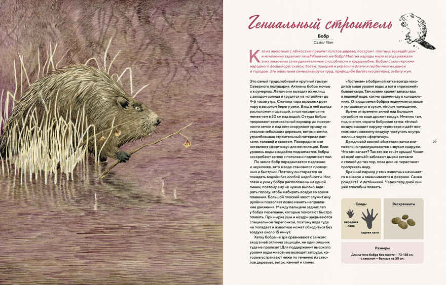 Наши соседи по планете. Рассказы о диких животных. Стегман Л., Янсен Б. Хорошая книжка для любознательных детей, производитель Махаон , ISBN 978-5-38917-697-3, № 3