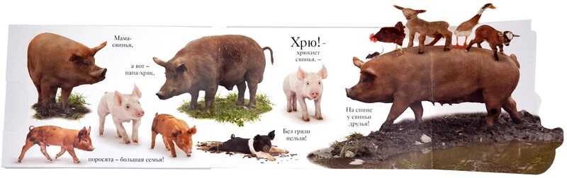 Хрю. Мэтью Ван Флит, производитель Махаон , ISBN 978-5-38906-435-5, № 4