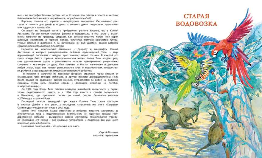 Штормик и мистер Персиваль. Рассказы. Тиле К. Классная классика, производитель Махаон , ISBN 978-5-38918-068-0, № 3
