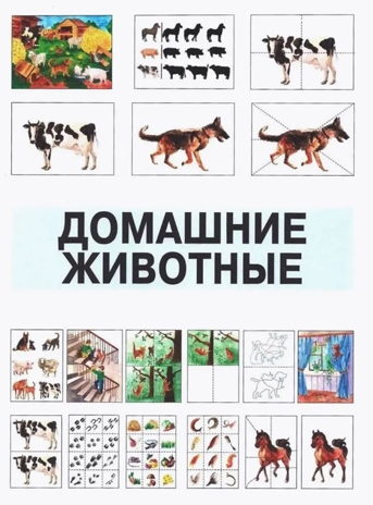 Развитие мыслительной деятельности у детей дошкольного возраста с ОВЗ (4-7 лет). Рабочая тетрадь № 3. Лексическая тема «Домашние животные», производитель Владос, ISBN 978-5-90748-250-0№ 4