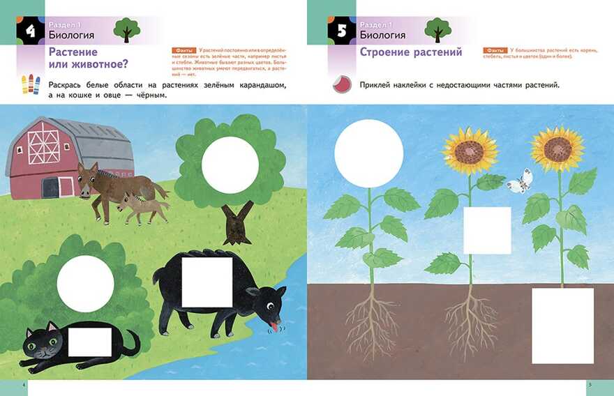 Kumon. Наука. Уровень 1, производитель Манн, Иванов и Фербер , ISBN 978-5-00169-899-9, № 2