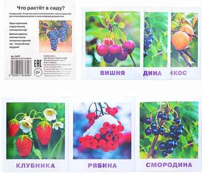 Умный малыш. Что растёт в саду? Набор карточек для детей. Ходюшина Н.П. IQ-малыш, производитель Айрис-пресс , ISBN 978-5-81126-489-6№ 2