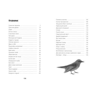 Птицы поют даже в хмурые дни, производитель ЭНАС-КНИГА , ISBN 978-5-00198-050-6№ 6