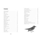 Птицы поют даже в хмурые дни, производитель ЭНАС-КНИГА , ISBN 978-5-00198-050-6, № 6