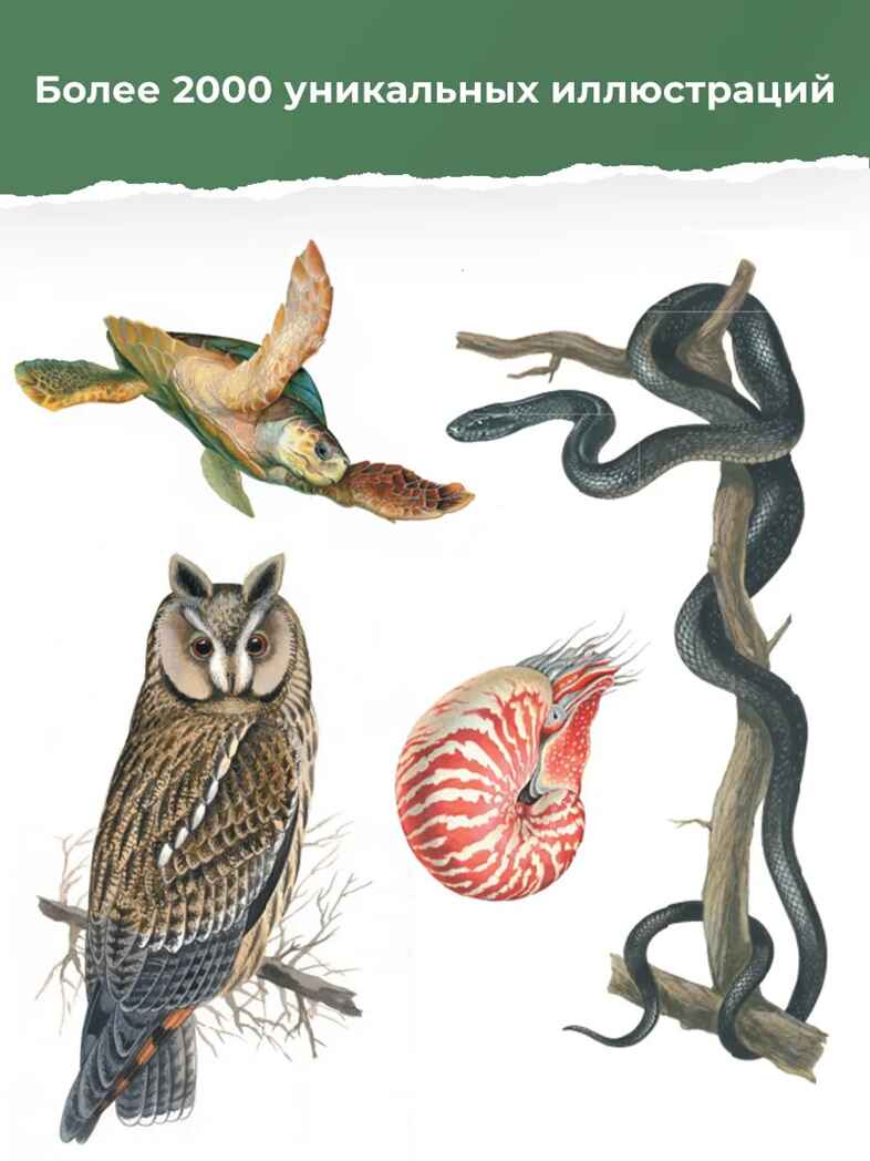 Гигантская энциклопедия в картинках, производитель АСТ , ISBN 978-5-17153-704-3, № 3