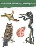 Гигантская энциклопедия в картинках, производитель АСТ , ISBN 978-5-17153-704-3, № 3