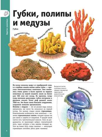 Гигантская энциклопедия в картинках, производитель АСТ , ISBN 978-5-17153-704-3№ 6