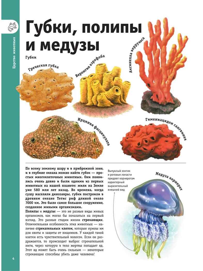 Гигантская энциклопедия в картинках, производитель АСТ , ISBN 978-5-17153-704-3, № 6