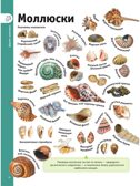 Гигантская энциклопедия в картинках, производитель АСТ , ISBN 978-5-17153-704-3, № 8