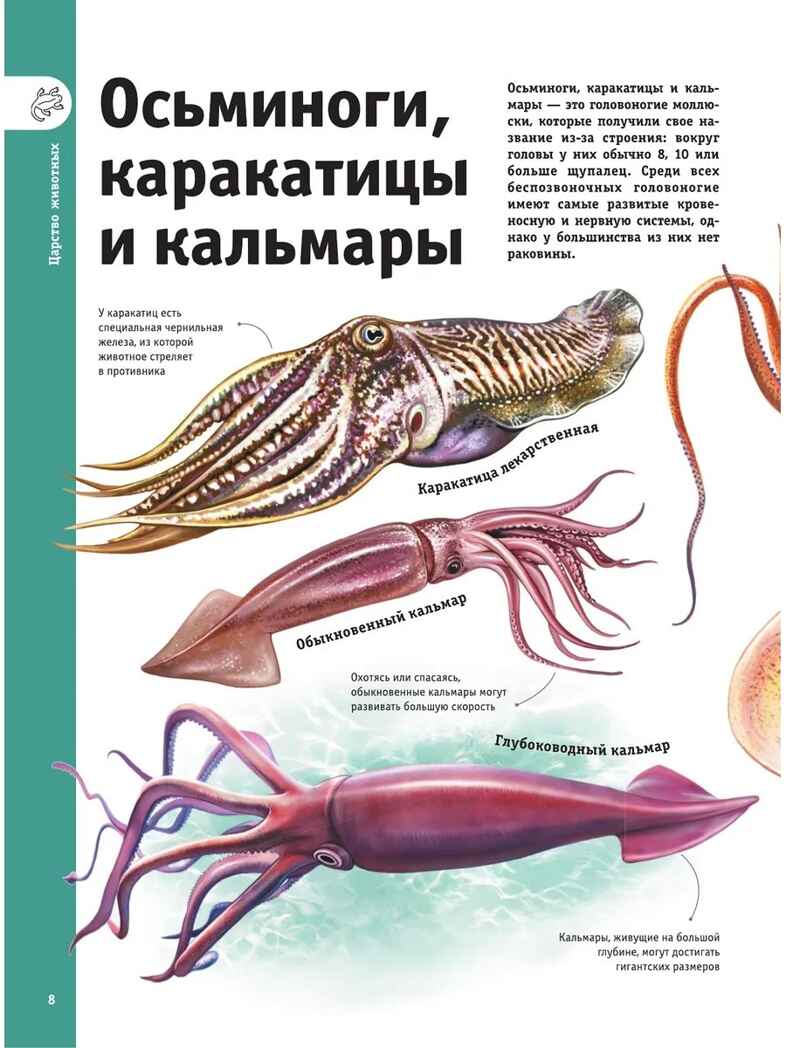 Гигантская энциклопедия в картинках, производитель АСТ , ISBN 978-5-17153-704-3, № 10