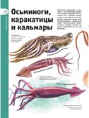 Гигантская энциклопедия в картинках, производитель АСТ , ISBN 978-5-17153-704-3, № 10