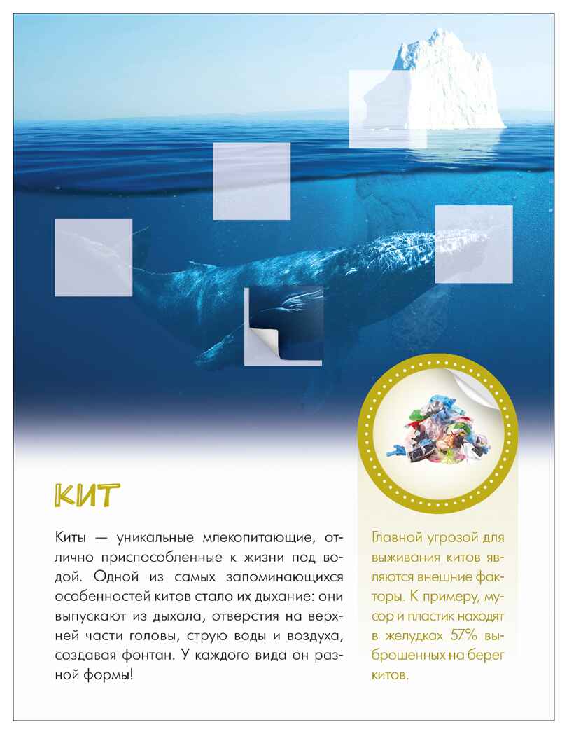 Кто живёт под водой? (Мир животных с наклейками), книги с наклейками, производитель МОЗАИКА kids , ISBN 978-5-43154-556-6, № 4