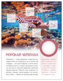 Кто живёт под водой? (Мир животных с наклейками), книги с наклейками, производитель МОЗАИКА kids , ISBN 978-5-43154-556-6, № 5