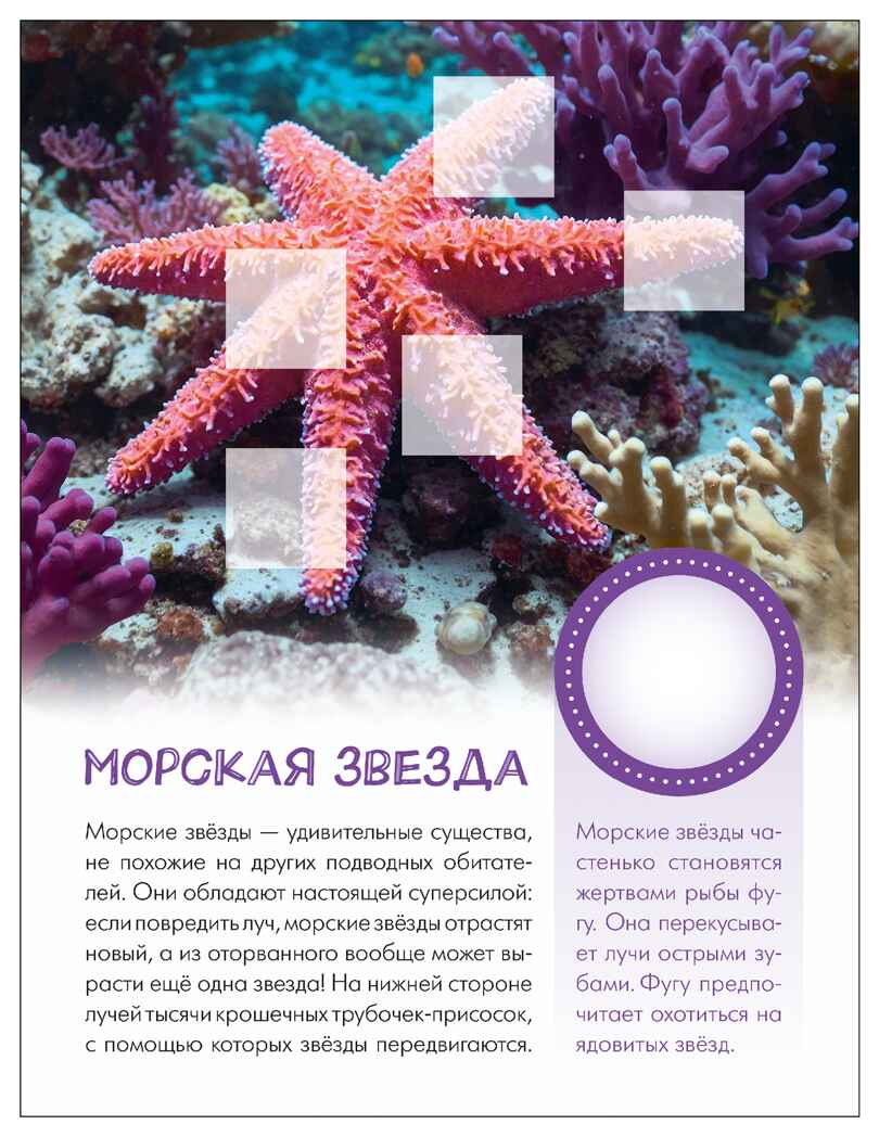 Кто живёт под водой? (Мир животных с наклейками), книги с наклейками, производитель МОЗАИКА kids , ISBN 978-5-43154-556-6, № 6