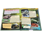 Рептилии. Энциклопедия с развивающими заданиями, производитель Умка, ISBN 978-5-50602-335-7, № 4