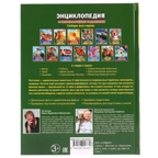 Рептилии. Энциклопедия с развивающими заданиями, производитель Умка, ISBN 978-5-50602-335-7, № 6