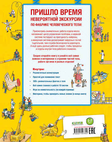 Невероятное тело человека. Как устроен организм внутри. Грин Д. Удивительные энциклопедии, производитель Клевер (Clever) , ISBN 978-5-00154-782-2№ 7