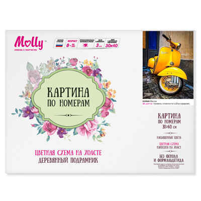Картина по номерам с цветной схемой на холсте (30х40) Веспа (20 цветов), арт. KK0648, производитель СильверТойз, ISBN 692-0-14088-607-1№ 1