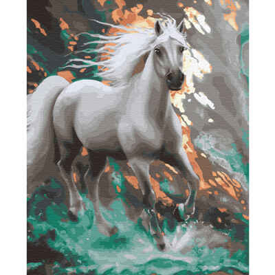 Картина по номерам (40х50) Стремительный (28 цветов), арт. KH0624, производитель СильверТойз, ISBN 692-0-14088-283-7№ 1