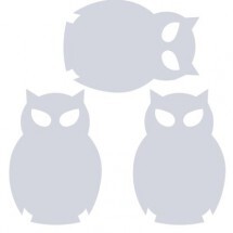 Набор термоаппликаций световозвращающих Совы, 70х70 мм, Cova, арт. 333-313, производитель Оптима Партнер, ISBN 462-7-10650-439-1, № 1