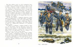 Нюша и Самый Главный Герой, производитель Настя и Никита , ISBN 978-5-90768-424-9, № 9