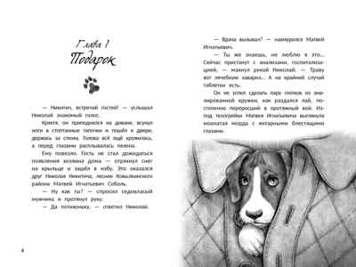 Музыка внутри., производитель «Феникс-Премьер», ISBN 978-5-22245-285-1№ 2