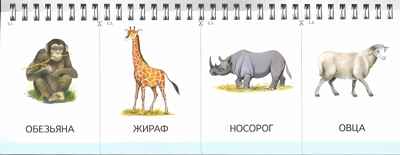 Картинки на пружинке. Выпуск 2. Мир животных. Дидактический материал по развитию логического мышления и связной речи у детей. Арбекова Н.Е., производитель Гном , ISBN 978-5-00160-240-8№ 3