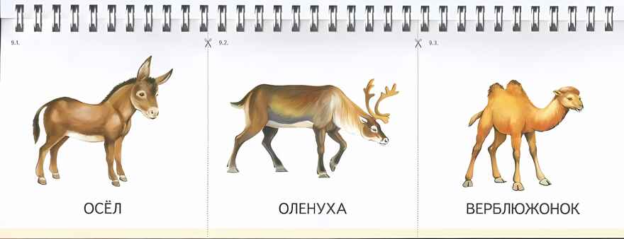 Картинки на пружинке. Семьи домашних животных и птиц. Дидактический материал по развитию логического мышления и связной речи у детей. Арбекова Н.Е., производитель Гном , ISBN 978-5-00160-242-2, № 3