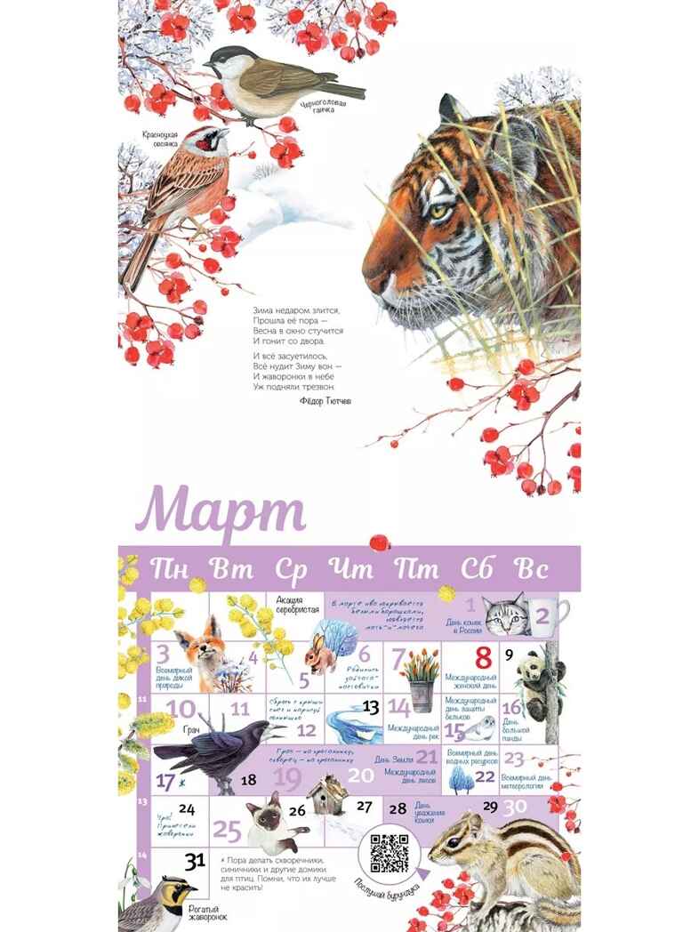 Календарь живой природы с голосами животных 2025 год, производитель АСТ , ISBN 978-5-17163-979-2, № 4