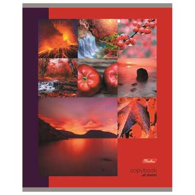 Тетрадь общая Four seasons А5, 48 листов в клетку, арт. 48Т5В1_4S, производитель Hatber (Хатбер), ISBN 460-6-78224-263-6№ 3