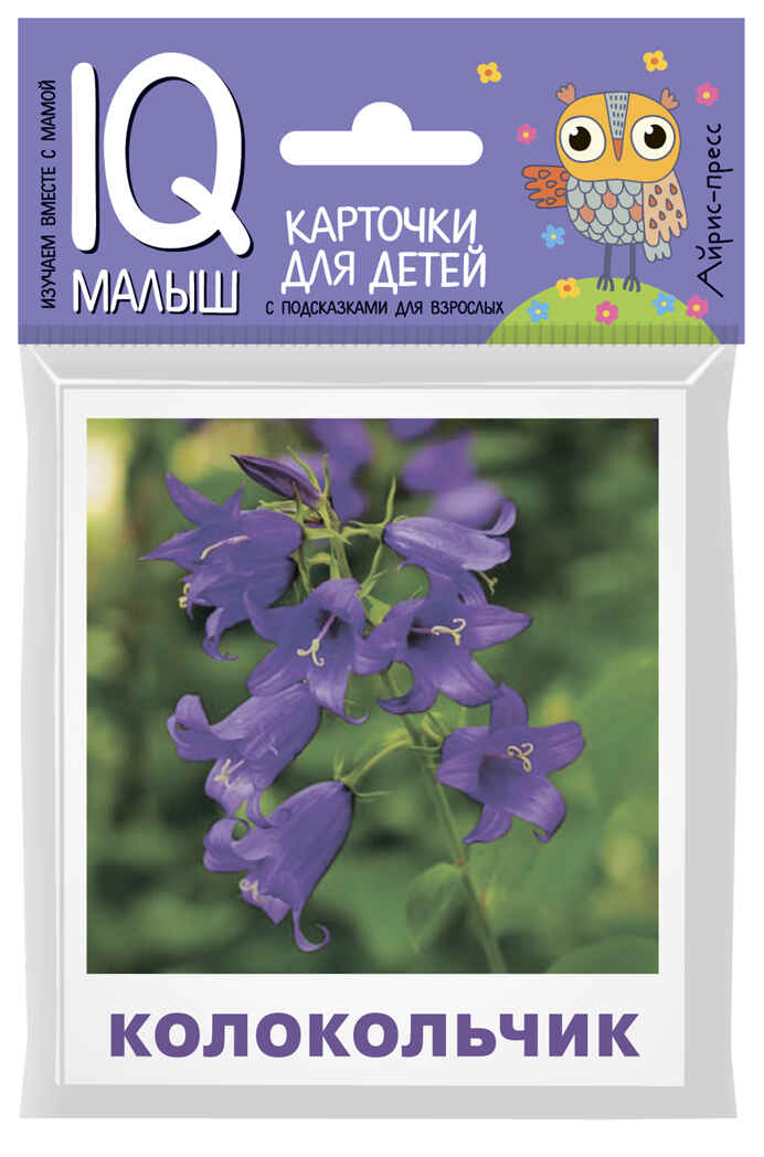 Умный малыш. Что растёт на клумбе? Набор карточек для детей. Малунова М.В. IQ-малыш, производитель Айрис-пресс , ISBN 978-5-81126-507-7, № 1