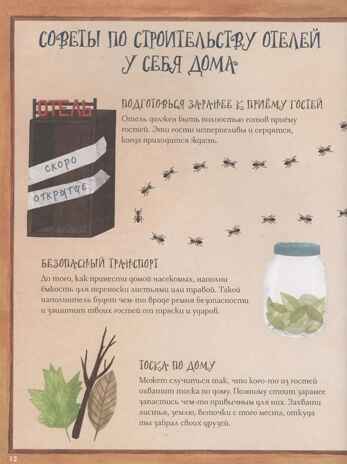 Город насекомых. Торп К., производитель АСТ , ISBN 978-5-17162-222-0№ 6