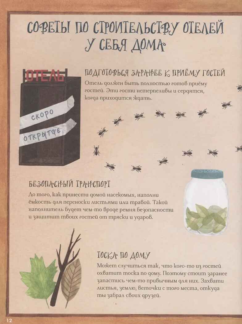 Город насекомых. Торп К., производитель АСТ , ISBN 978-5-17162-222-0, № 6