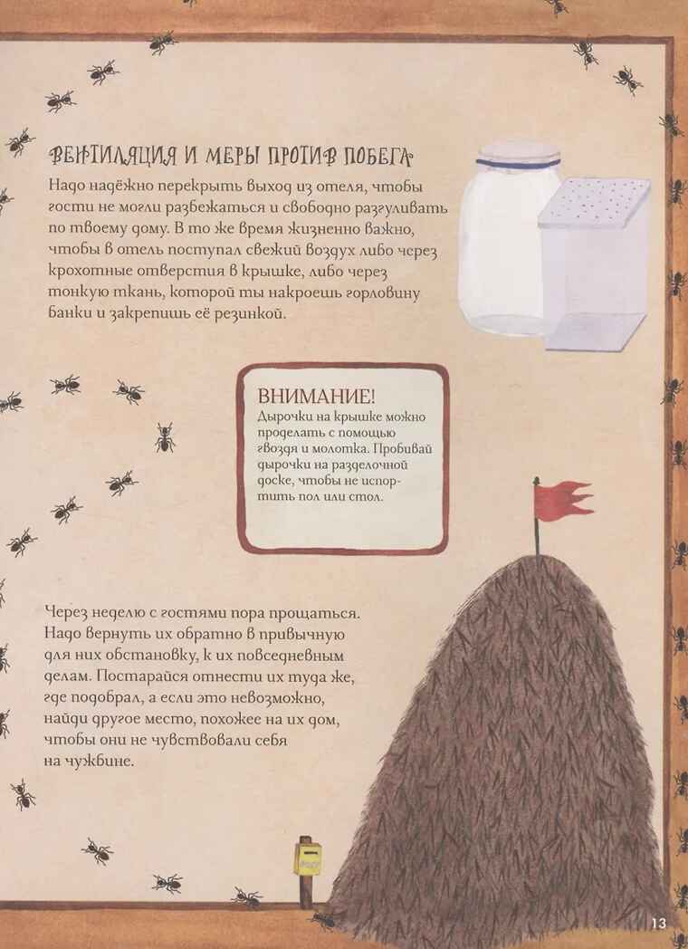Город насекомых. Торп К., производитель АСТ , ISBN 978-5-17162-222-0, № 7