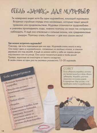 Город насекомых. Торп К., производитель АСТ , ISBN 978-5-17162-222-0№ 8