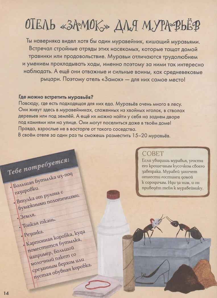 Город насекомых. Торп К., производитель АСТ , ISBN 978-5-17162-222-0, № 8