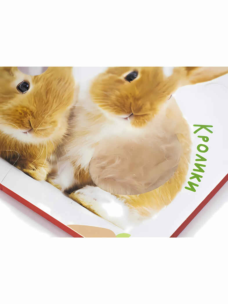 Мои первые зверята. Тактильные пазлы touch & feel, производитель Malamalama (Маламалама), ISBN 462-7-13168-748-9, № 12