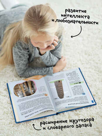 «Чудеса света» (серия «Детская энциклопедия»), производитель МОЗАИКА kids , ISBN 978-5-43154-321-0№ 8
