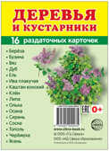 Демонстрационные картинки СУПЕР. Деревья и кустарники. 16 раздаточных карточек с текстом, производитель Сфера ТЦ , ISBN 978-5-99490-993-5, № 1