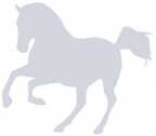 Термоаппликация световозвращающая Лошадь, 70х70 мм, Cova, арт. 333-316, производитель Оптима Партнер, ISBN 462-7-10650-449-0, № 1