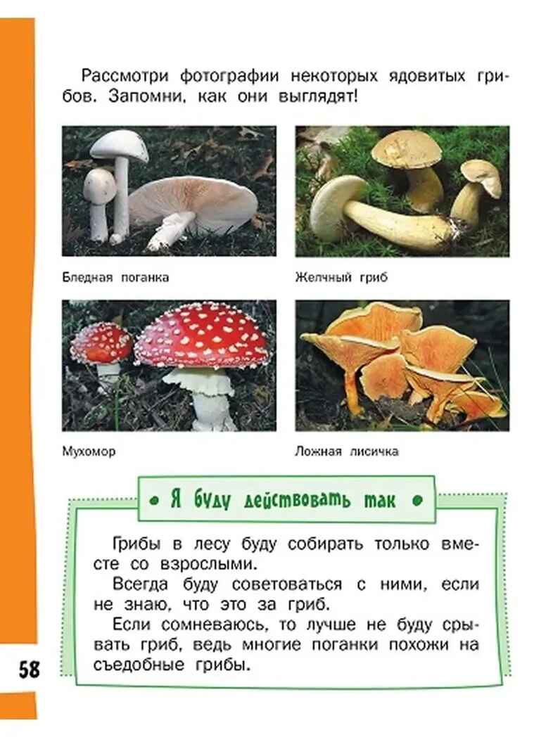 Азбука безопасной и здоровой жизни., производитель Мозаичный Парк , ISBN 978-5-60537-788-7, № 6