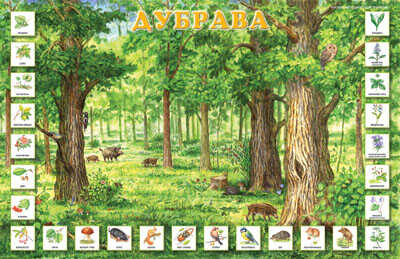 Плакат Дубрава, производитель ИД &quot;Карапуз&quot;, ISBN 978-5-97150-361-3№ 1
